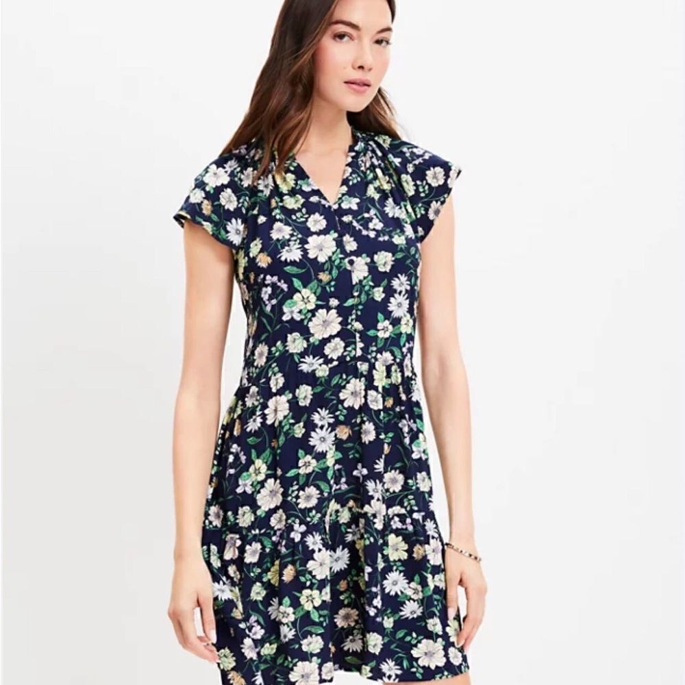 LOFT NAVY Blue & pink‎ oversized, double layered Flounce Dress